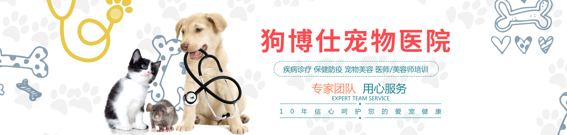 洛陽市洛龍區(qū)狗博士寵物醫(yī)院